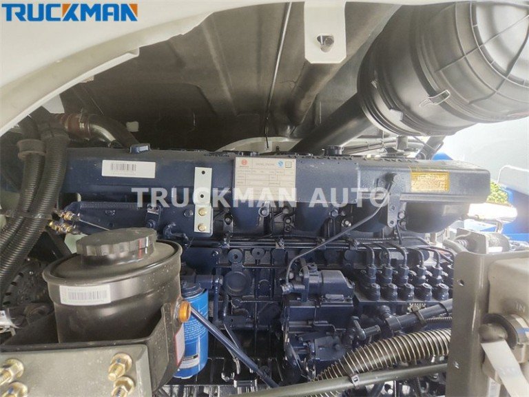 SHACMAN H3000 6x4 Dump Truck Engine