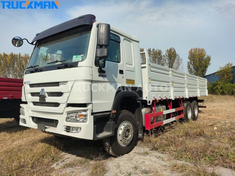 HOWO 6x4 Cargo Truck
